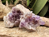 Natural Jacaranda Amethyst Quartz Clusters x 2 from Mumbwa, Zambia