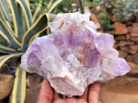 Natural Jacaranda Amethyst Quartz Clusters x 2 from Mumbwa, Zambia