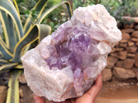 Natural Jacaranda Amethyst Quartz Clusters x 2 from Mumbwa, Zambia