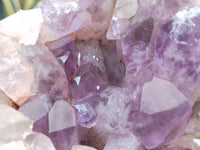 Natural Jacaranda Amethyst Quartz Clusters x 2 from Mumbwa, Zambia