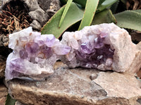 Natural Jacaranda Amethyst Quartz Clusters x 2 from Mumbwa, Zambia