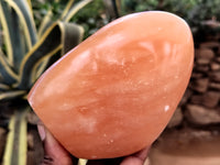 Polished Orange Twist Calcite Standing Free Forms x 2 From Madagascar