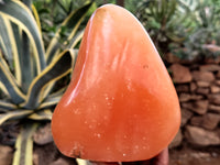 Polished Orange Twist Calcite Standing Free Forms x 2 From Madagascar