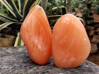 Polished Orange Twist Calcite Standing Free Forms x 2 From Madagascar