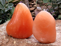 Polished Orange Twist Calcite Standing Free Forms x 2 From Madagascar