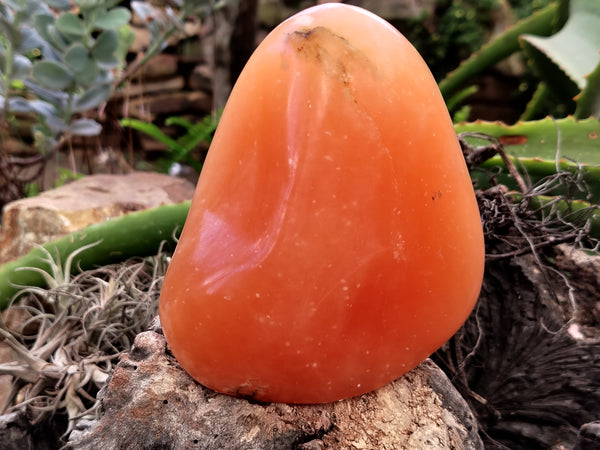 Polished Orange Twist Calcite Standing Free Forms x 2 From Madagascar