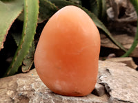 Polished Orange Twist Calcite Standing Free Forms x 2 From Madagascar