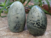 Polished Leopard Stone Free Forms x 6 From Zimbabwe