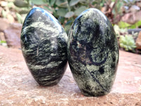 Polished Leopard Stone Free Forms x 6 From Zimbabwe