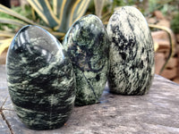 Polished Leopard Stone Free Forms x 6 From Zimbabwe