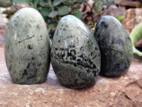 Polished Leopard Stone Free Forms x 6 From Zimbabwe