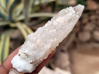 Natural Drusy Quartz Coated Calcite Pseudomorph Specimens x 20 From Alberts Mountain, Lesotho