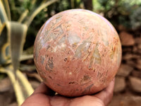 Polished Peach Moonstone Spheres x 3 From Madaagscar