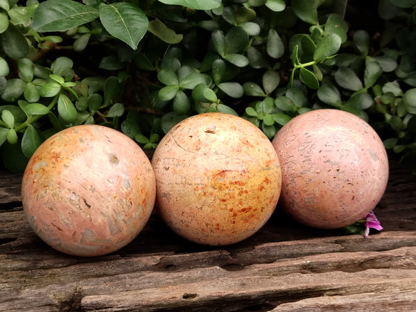 Polished Peach Moonstone Spheres x 3 From Madaagscar