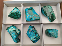 Polished Malacolla Free Forms x 6 From Kulukuluku, Congo