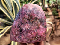 Polished Rhodonite Standing Free Forms x 2 From Ambindavato, Madagascar