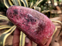 Polished Rhodonite Standing Free Forms x 2 From Ambindavato, Madagascar