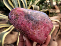 Polished Rhodonite Standing Free Forms x 2 From Ambindavato, Madagascar