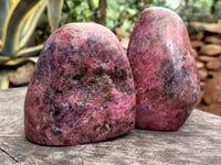 Polished Rhodonite Standing Free Forms x 2 From Ambindavato, Madagascar