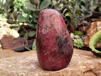 Polished Rhodonite Standing Free Forms x 2 From Ambindavato, Madagascar