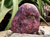 Polished Rhodonite Standing Free Forms x 2 From Ambindavato, Madagascar