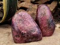 Polished Rhodonite Standing Free Forms x 2 From Ambindavato, Madagascar