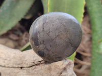 Polished Pharaoh Stone Free Forms x 6 From Zimbabwe