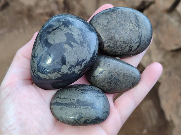 Polished Pharaoh Stone Free Forms x 6 From Zimbabwe