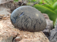 Polished Pharaoh Stone Free Forms x 6 From Zimbabwe