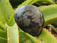 Polished Pharaoh Stone Free Forms x 6 From Zimbabwe