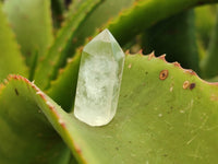 Polished Clear Quartz Crystals x 70 From Madagascar