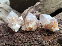 Natural Cactus Flower Spirit Quartz Crystals x 24 From South Africa