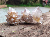 Natural Cactus Flower Spirit Quartz Crystals x 24 From South Africa