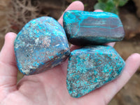 Polished Shattuckite Free Forms x 6 From Congo