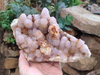 Natural Ametrine Spirit Quartz Cluster x 1 From Boekenhouthoek, South Africa