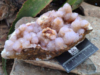 Natural Ametrine Spirit Quartz Cluster x 1 From Boekenhouthoek, South Africa