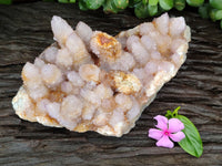 Natural Ametrine Spirit Quartz Cluster x 1 From Boekenhouthoek, South Africa