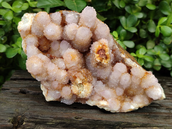 Natural Ametrine Spirit Quartz Cluster x 1 From Boekenhouthoek, South Africa