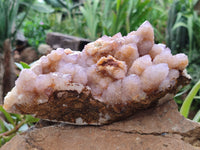 Natural Ametrine Spirit Quartz Cluster x 1 From Boekenhouthoek, South Africa