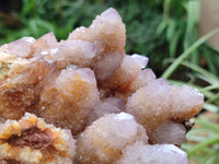 Natural Ametrine Spirit Quartz Cluster x 1 From Boekenhouthoek, South Africa