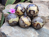 Polished Septerye Spheres x 5 From Mahajanga, Madagascar