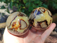 Polished Septerye Spheres x 5 From Mahajanga, Madagascar