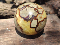 Polished Septerye Spheres x 5 From Mahajanga, Madagascar