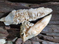 Natural Drusy Quartz Coated Calcite Pseudomorph Specimens x 35 From Lesotho