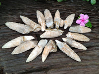 Natural Drusy Quartz Coated Calcite Pseudomorph Specimens x 35 From Lesotho