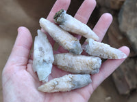 Natural Drusy Quartz Coated Calcite Pseudomorph Specimens x 35 From Lesotho