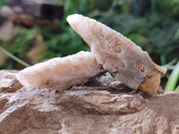 Natural Drusy Quartz Coated Calcite Pseudomorph Specimens x 35 From Lesotho