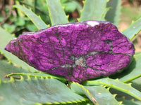 Polished On One Side Purpurite Specimens x 6 From Namibia