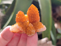 Natural Golden Solar Spirit Quartz Clusters x 20 From Boekenhouthoek, South Africa