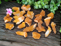 Natural Golden Solar Spirit Quartz Clusters x 20 From Boekenhouthoek, South Africa